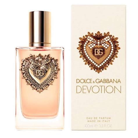 novo dolce gabbana